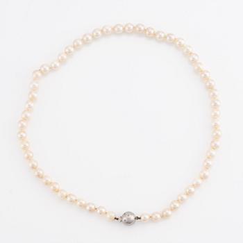 Pärlcollier, odlade pärlor med lås i 18K vitguld med små diamanter.