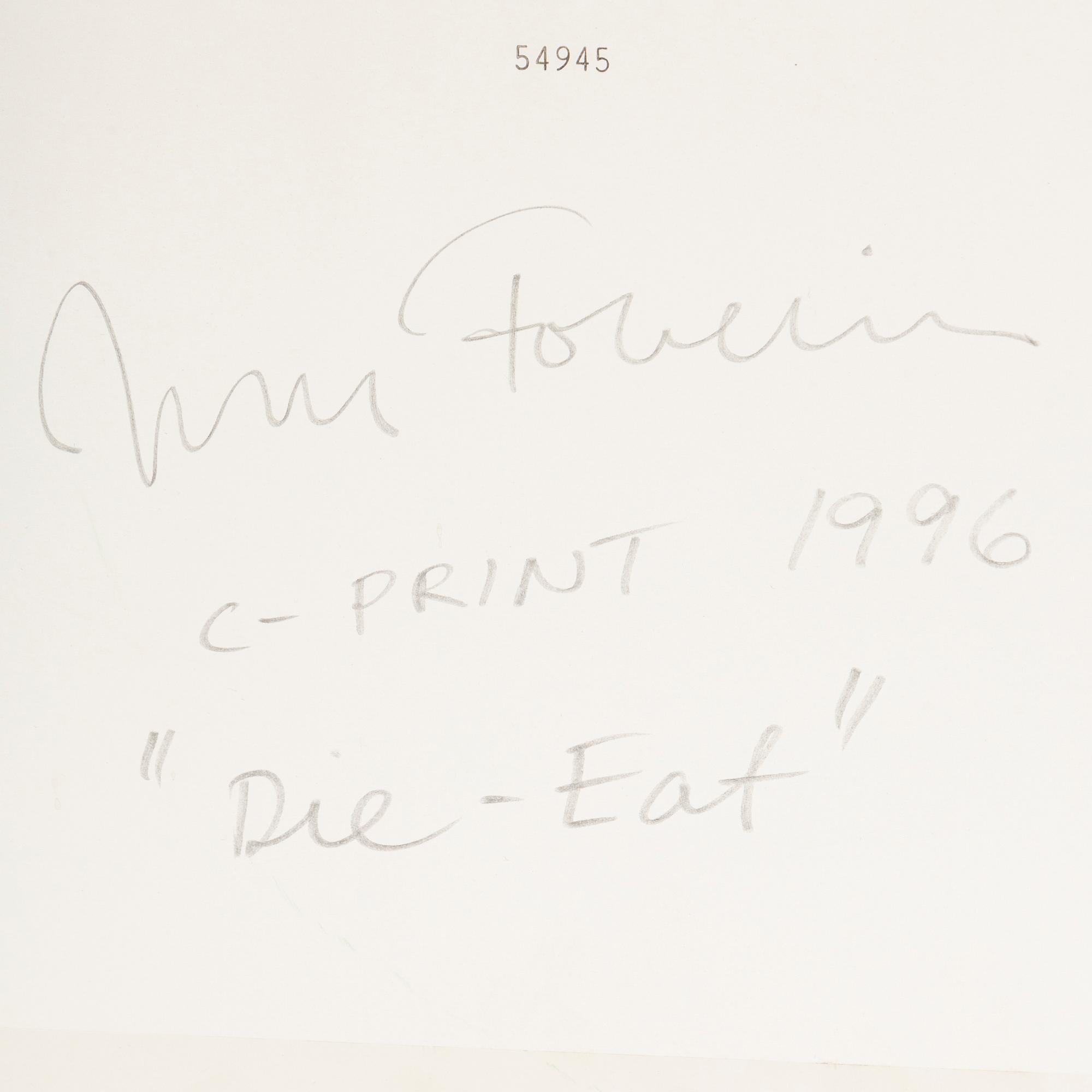 JOHAN FOWELIN, c-print signed and dated 1996 verso.