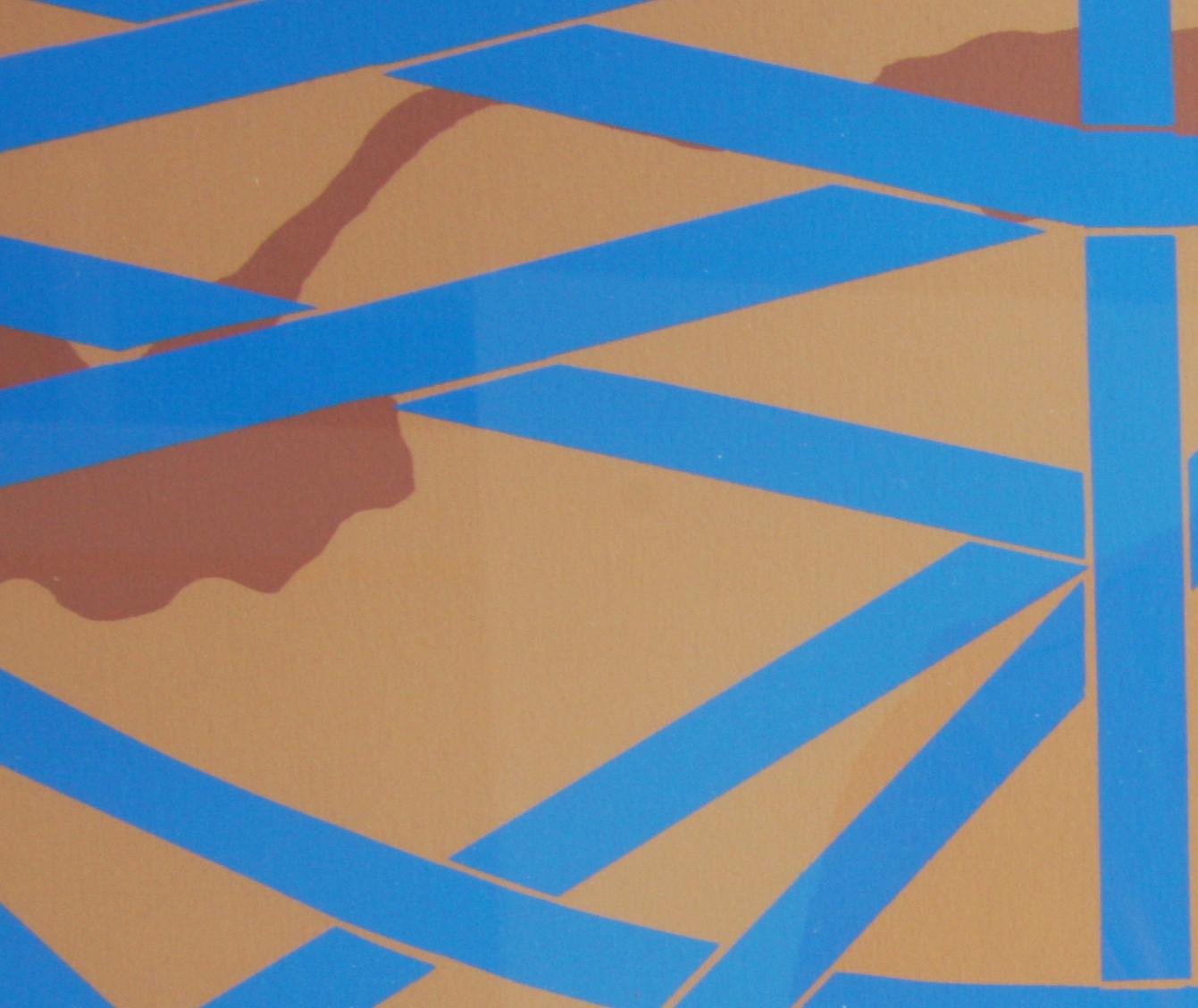 MAKANDER, ANN. Färglitografi, sign, dat 1985, numr 12/15.