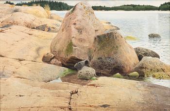Stanislaw Zoladz, Rocks.