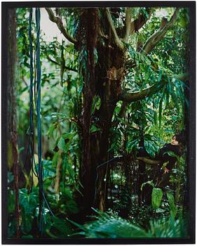 Maria Friberg, 'Days of Eyes 1', 2014.