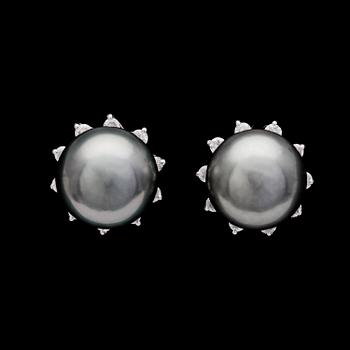 192. EARRINGS, cultured Tahitipearls, 10,5 mm with brilliant cut diamonds, tot. app. 0.45 cts.