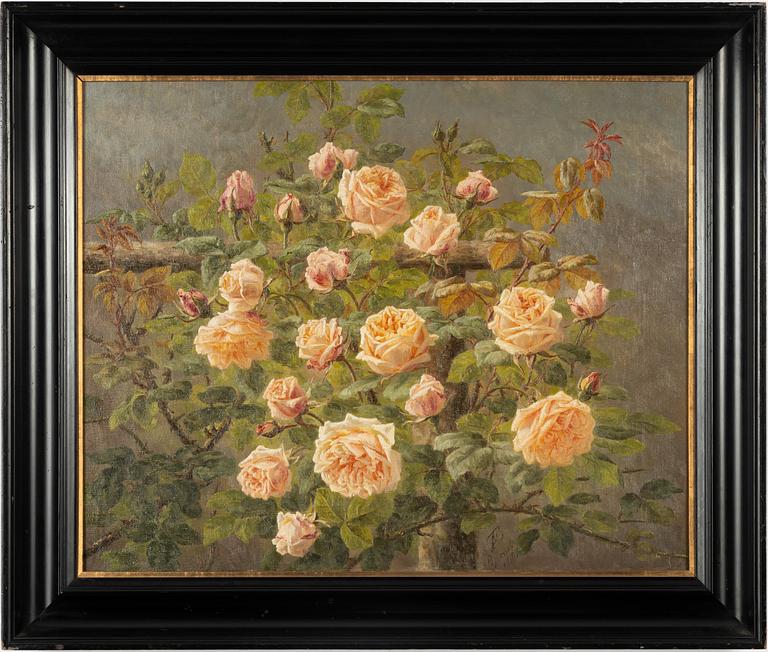 Anthonore Christiansen, Rosor.