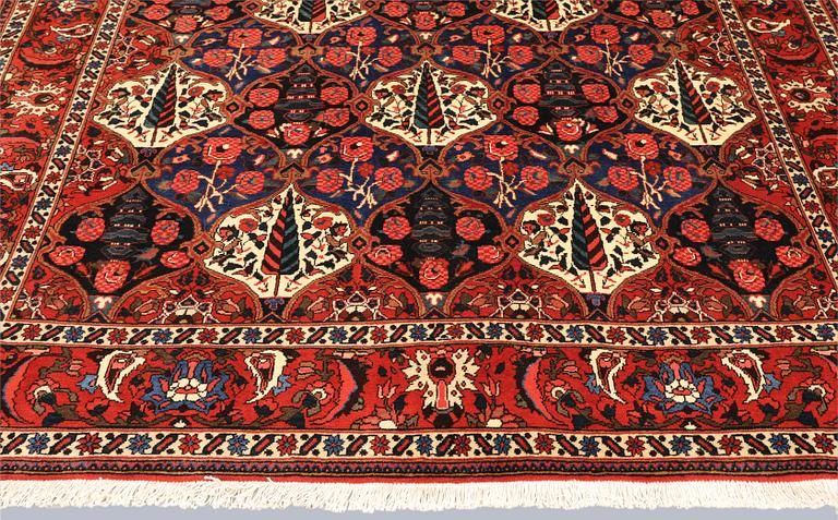 Matta, Baktiari, 300 x 212 cm.