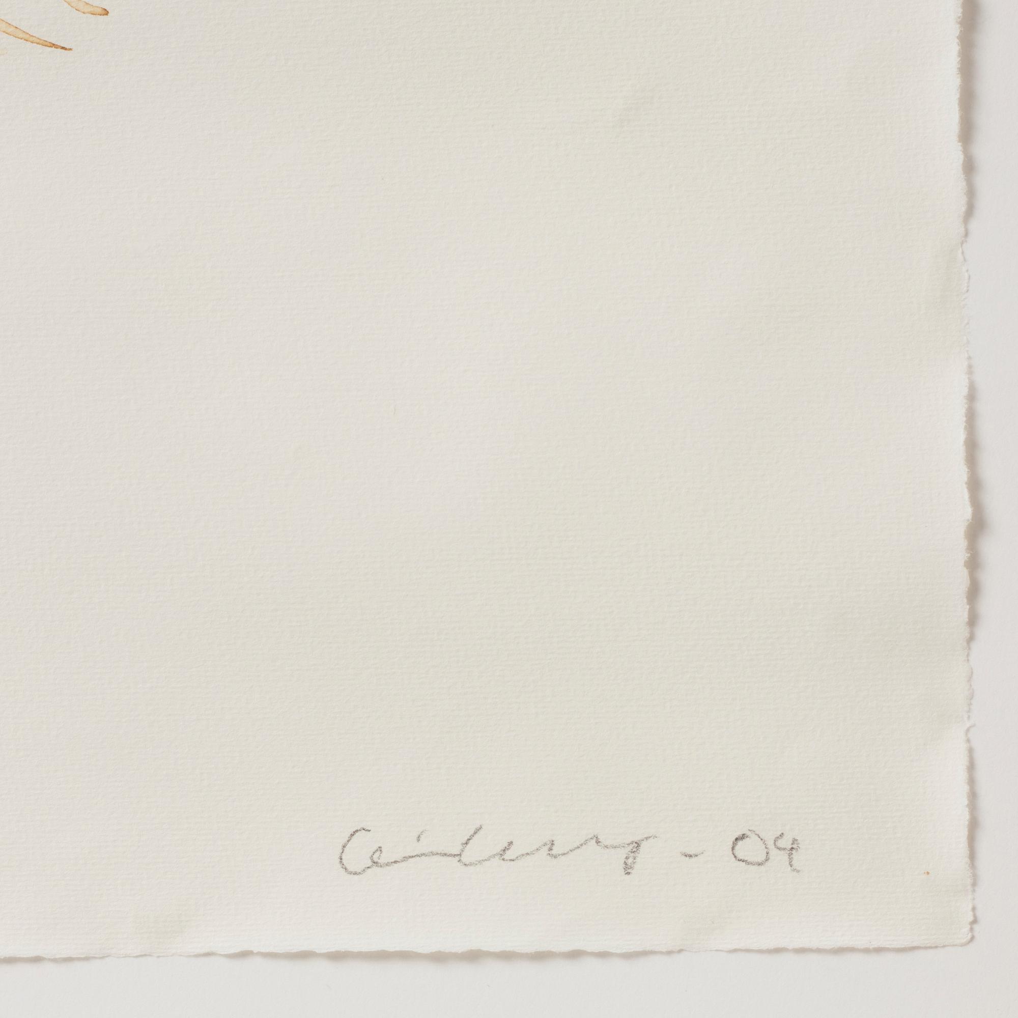 Carin Ellberg, "In the woods, the view".