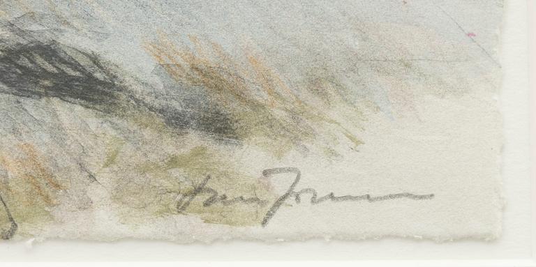 Lars Jonsson, Ejderpar.