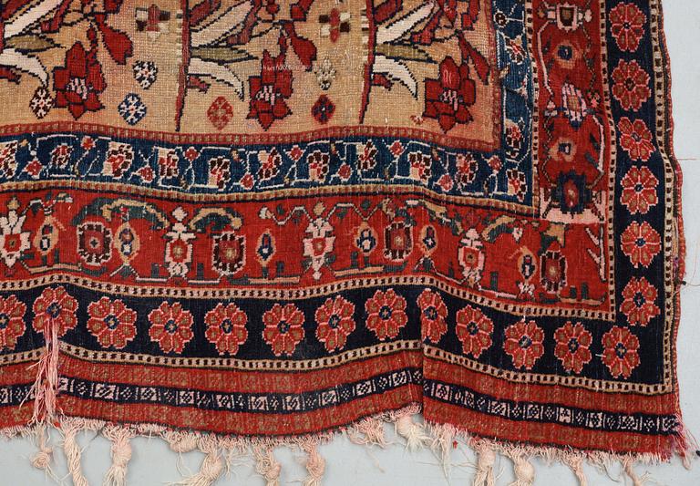 ANTIQUE QASHQAI. 267,5 x 146 cm.