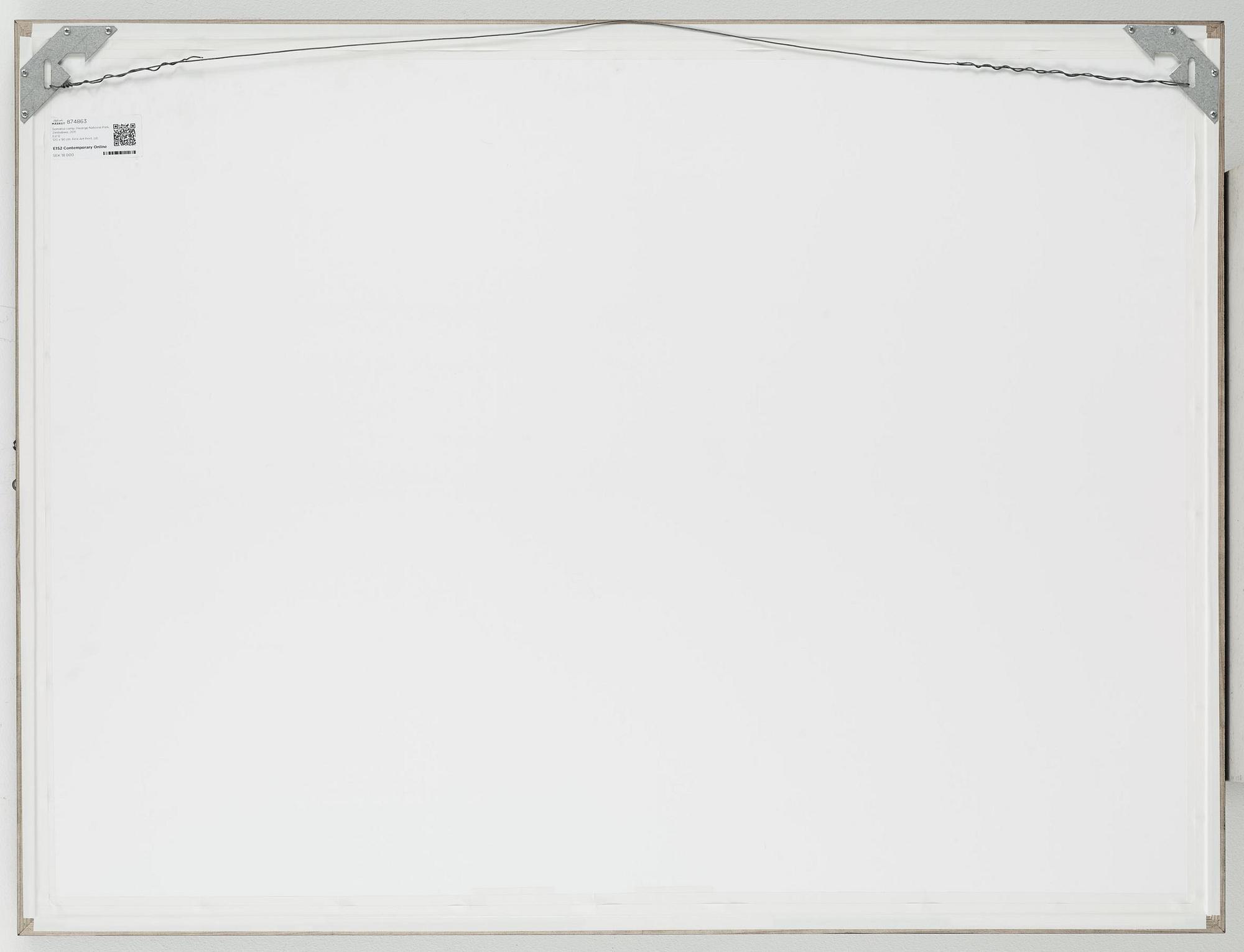 HÅKAN LUDWIGSON, photography signed Håkan Ludwigsson and dated Somalisa 2011 and numbered 9/12.