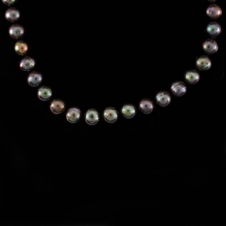COLLIER, odlade Tahitipärlor, ca 10 mm.