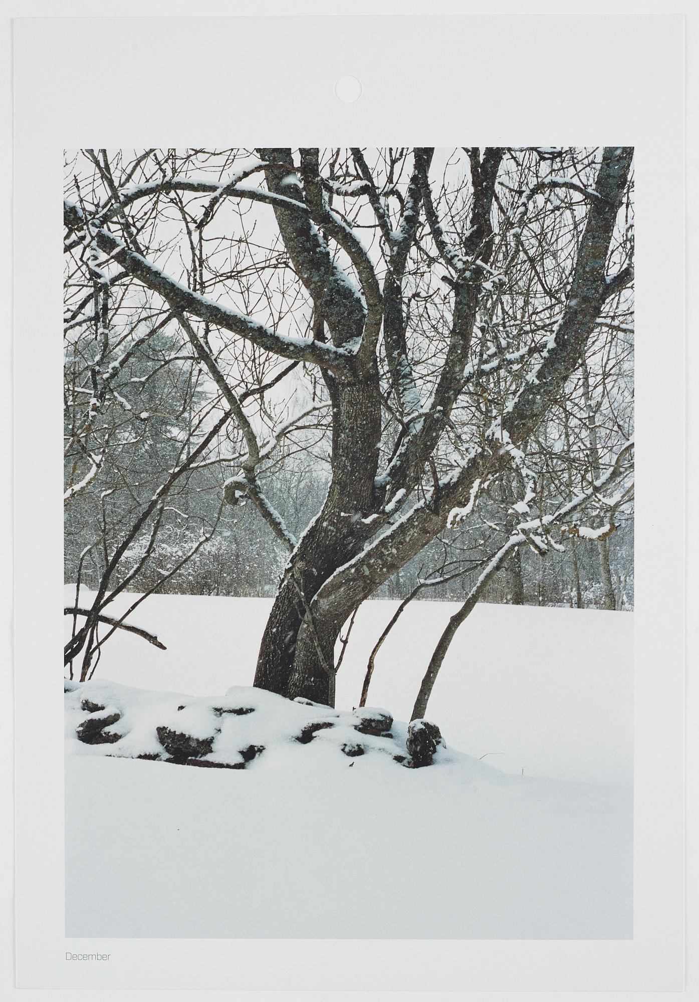 ANDREAS ERIKSSON, portfolio. Signed AE inside the box and numbered 18/250.