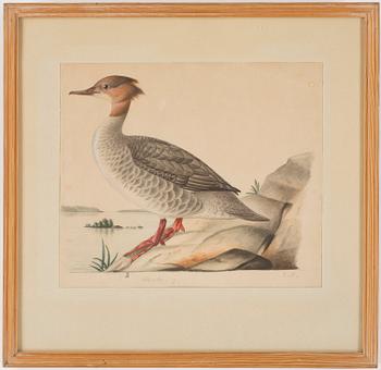 Ferdinand von Wright · FERDINAND VON WRIGHT, akvarellerad teckning, signerad.