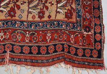 ANTIQUE QASHQAI. 267,5 x 146 cm.