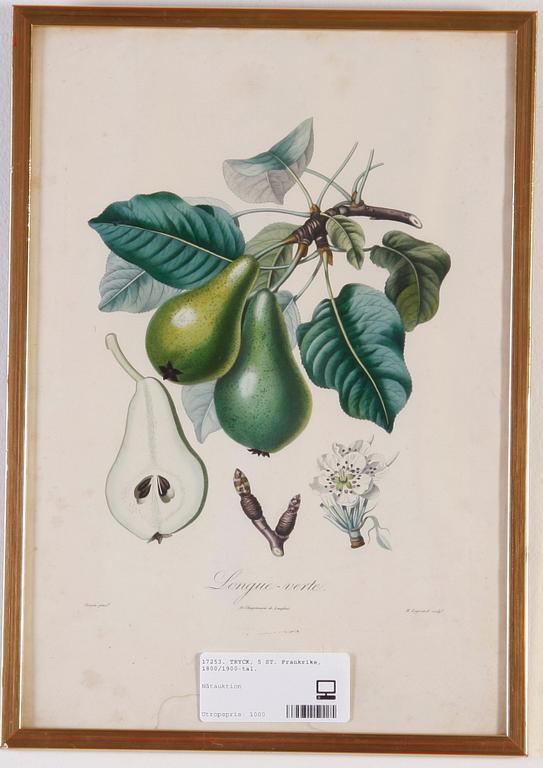 TRYCK, 5 ST. Frankrike, 1800/1900-tal.