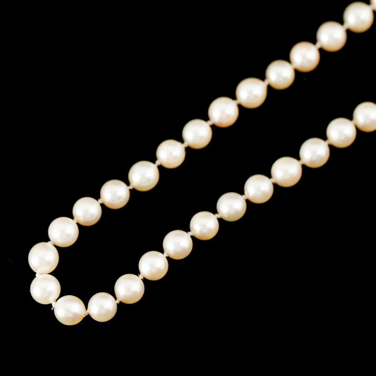 PÄRLCOLLIER, odlade pärlor med silverlås.