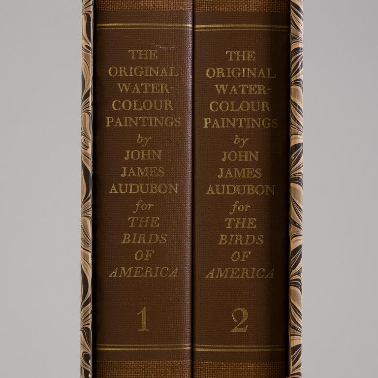 BOK, Audubons klassiska fågelbilder, James Audubon.