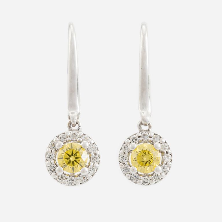Colour treated brilliant cut diamond earrings.