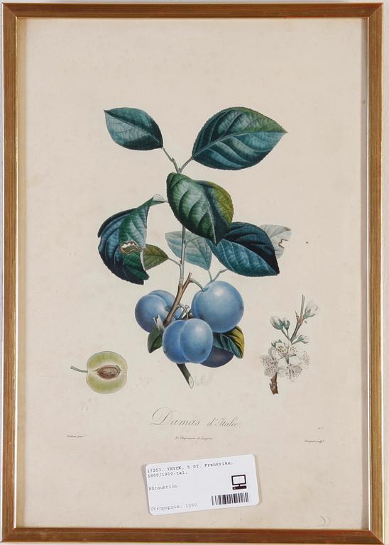 TRYCK, 5 ST. Frankrike, 1800/1900-tal.