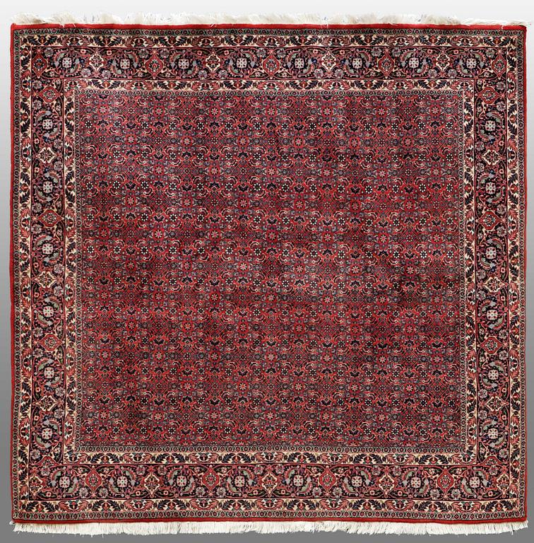 A RUG, Bidjar so called "Takab", around 200 x 205 cm.