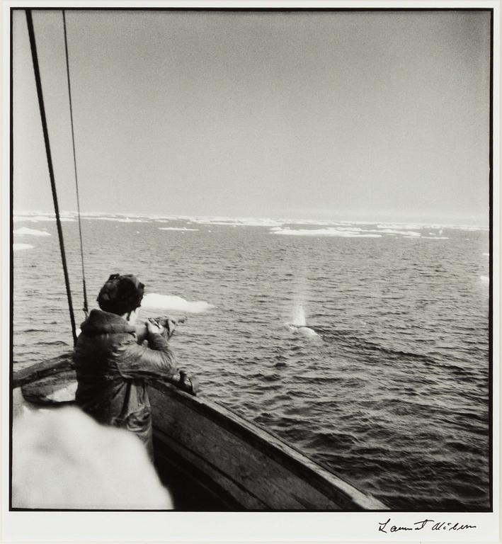 Lennart Nilsson,  "Isbjörnsjakt vid Hvitøya (Vitön), Svalbard, Norge 1947".