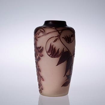 VAS, glas, Emile Gallé, Nancy, Frankrike, jugend.