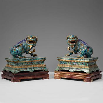 666. A large pair of cloisonné temple lions, Qing dynasty, 19th Century.