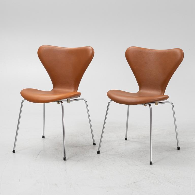Arne Jacobsen, stolar, 6 st, "sjuan", Fritz Hansen, Danmark, sent 1900-tal.