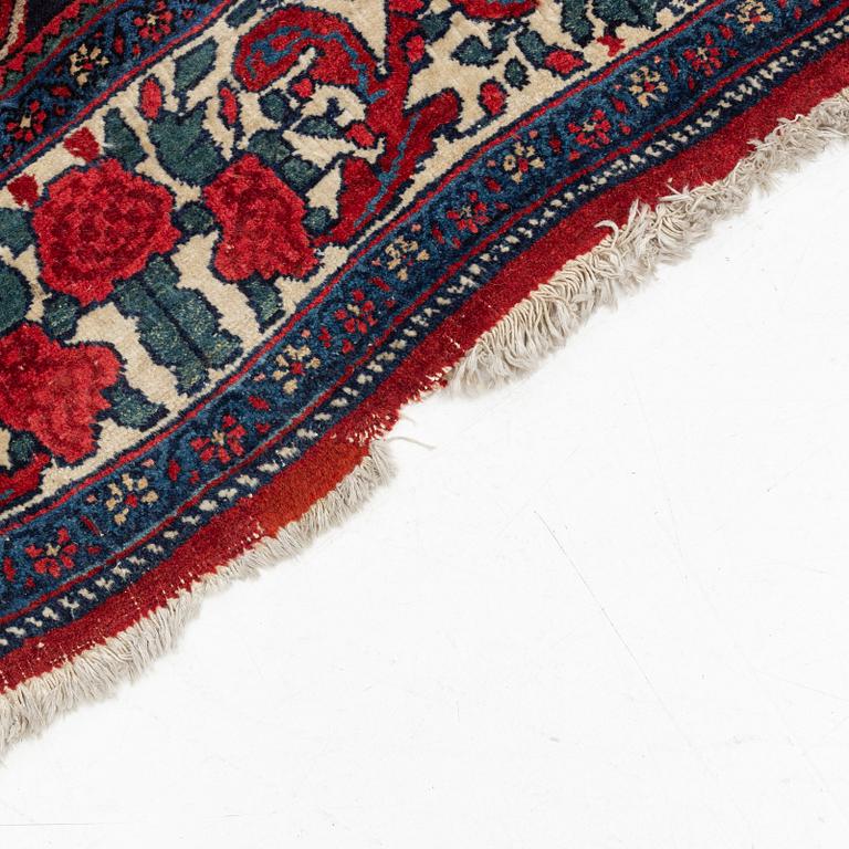 Rug, Bidjar, Approx. 260 x 155 cm.