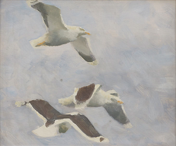 Bruno Liljefors, Flygande fiskmåsar (Larus canus).