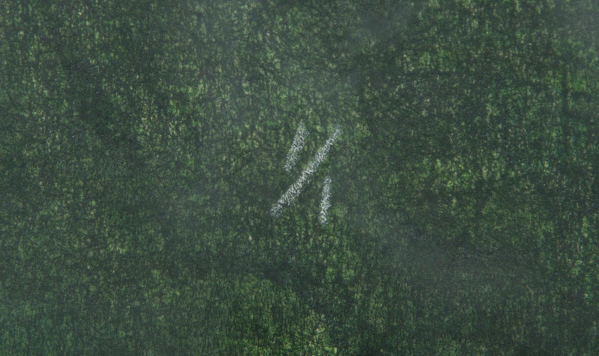 Outi Kirves, "Painaumat".