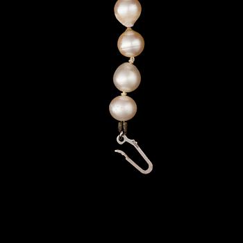 HELMINAUHA hopealukolla, 2 paria HELMIKORVAKORUJA, kultamekanismilla. 1900-luvun loppupuoli.