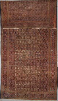 MATTA. Sarouk semiantik 506 x 228.