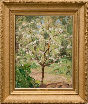 PEKKA HALONEN, APPLE TREE IN BLOSSOM.