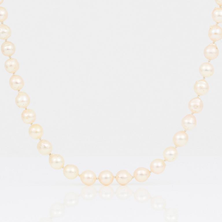 PÄRLCOLLIER, med silverlås och troligen färgad chalcedon.