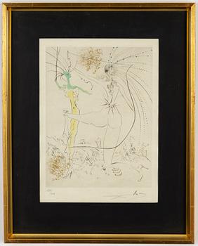 Salvador Dalí, coloured etching, signed and numbered 120/145.