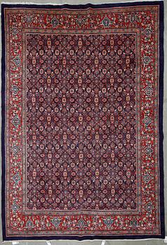 MATTA, old Mahal, ca 360x245 cm.