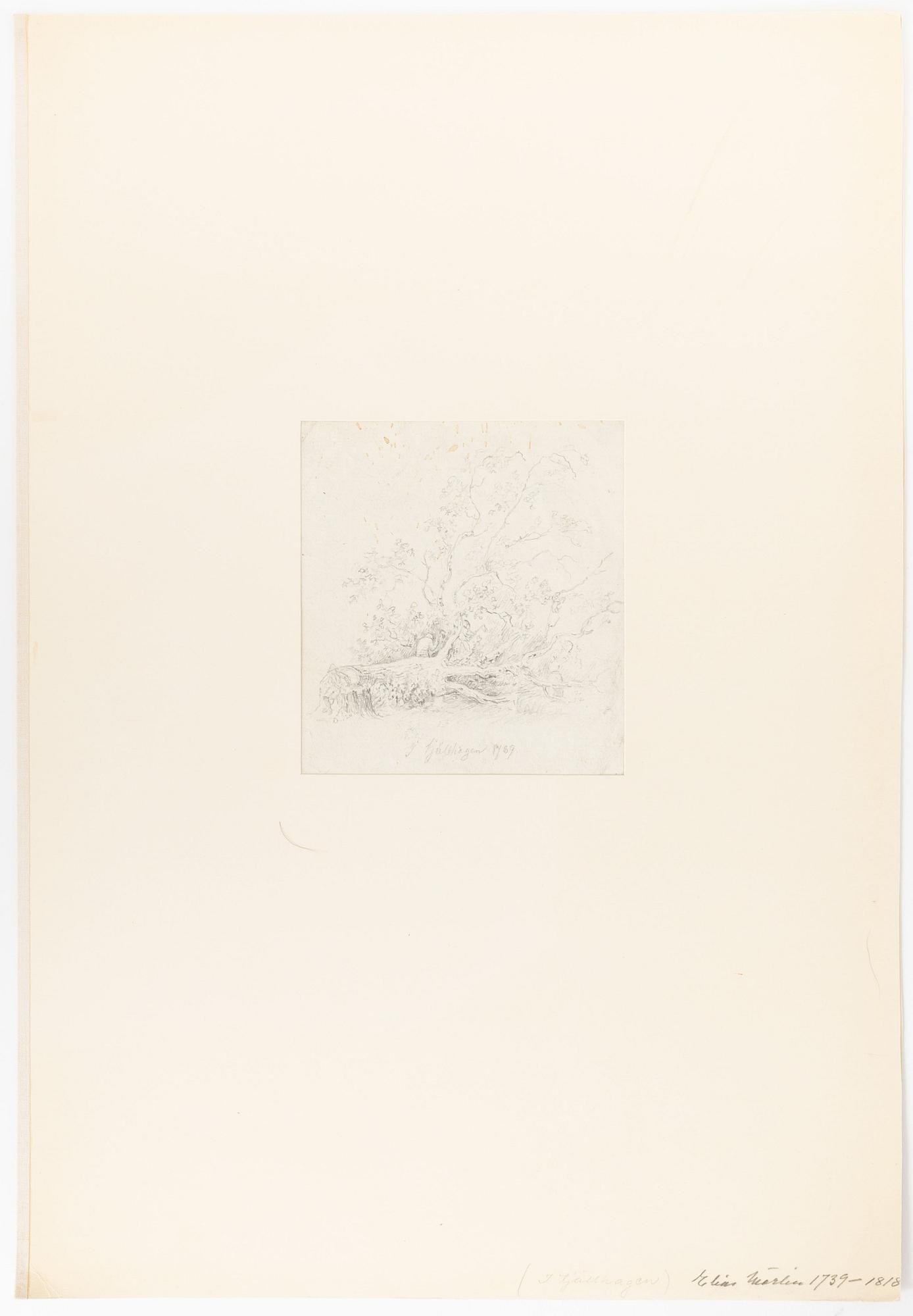 Robert Thegerström, Elias marton & Oscar Törnå, attributed to, drawings, 5.