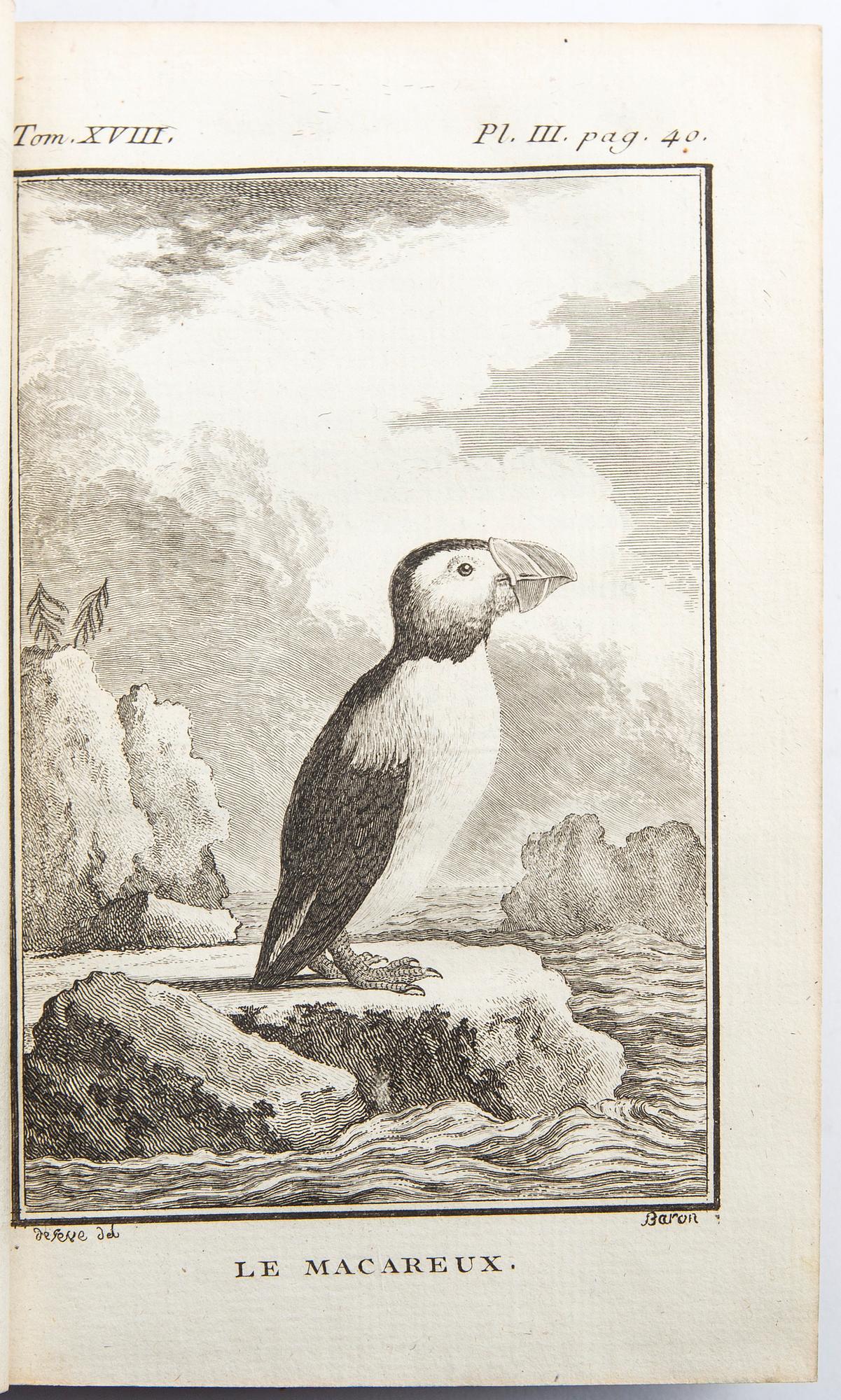 Georges-Louis Leclerc, Comte de Buffon, 'Histoire naturelle des oiseaux' 18 vol Paris 1770 - 1785.