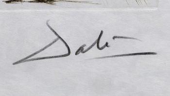 SALVADOR DALÍ, colourprinted drypoint etching on Japan nacré, signed and numbered XXXIX/LXXV.