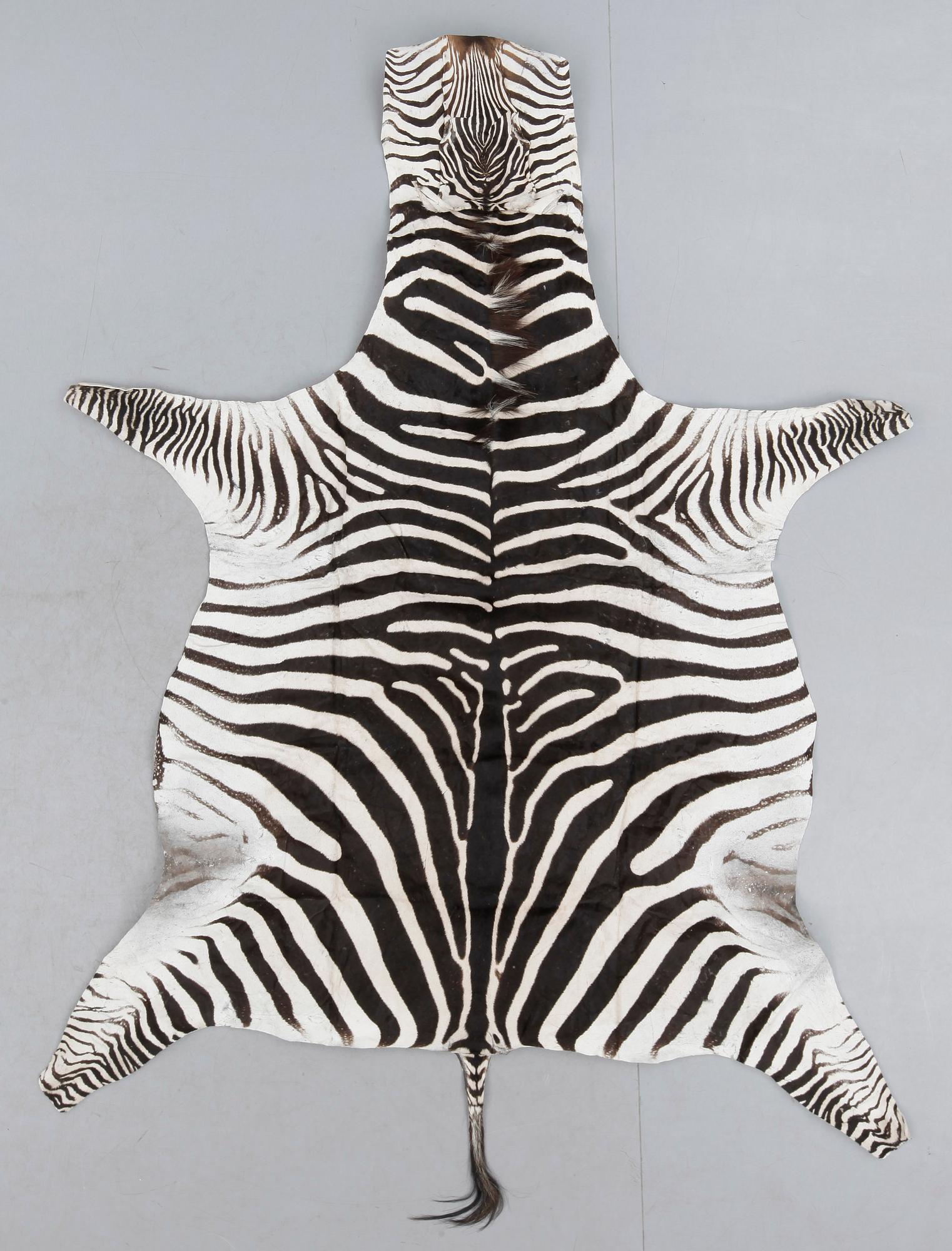 ZEBRASKINN, Tanzania, 2004.