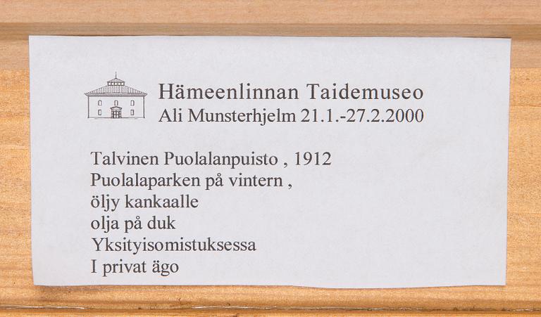 Ali Munsterhjelm, Talvinen Puolalanpuisto.