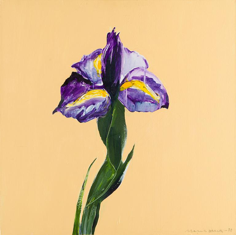 Tapani Mikkonen, Iiris.