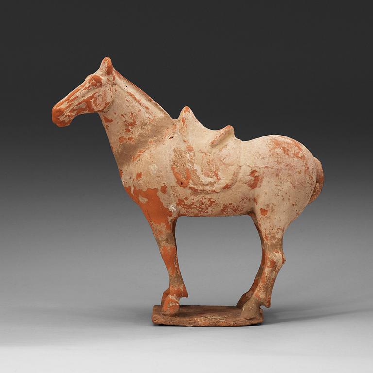 A pottery figure of a horse,  Tang dynasty (618-906).