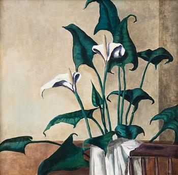 540. Antti Lampisuo, ARUM LILIES.