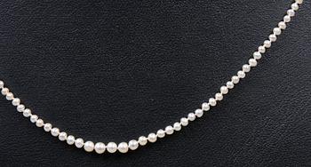 PÄRLCOLLIER, metalllås, 1900-talets första hälft.