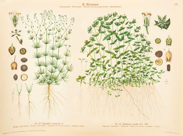 Emil Korsmo, 24 lithographic weed posters.