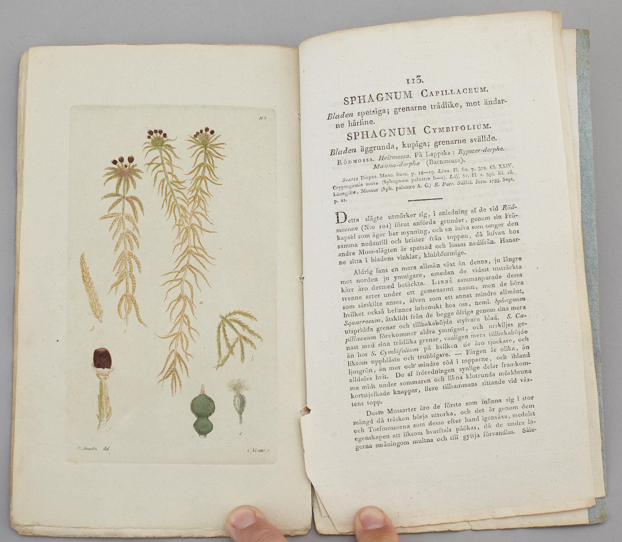 JOHAN WILHELM PALMSTRUCH, "Svensk Botanik, vol I-V. 1803-1805.