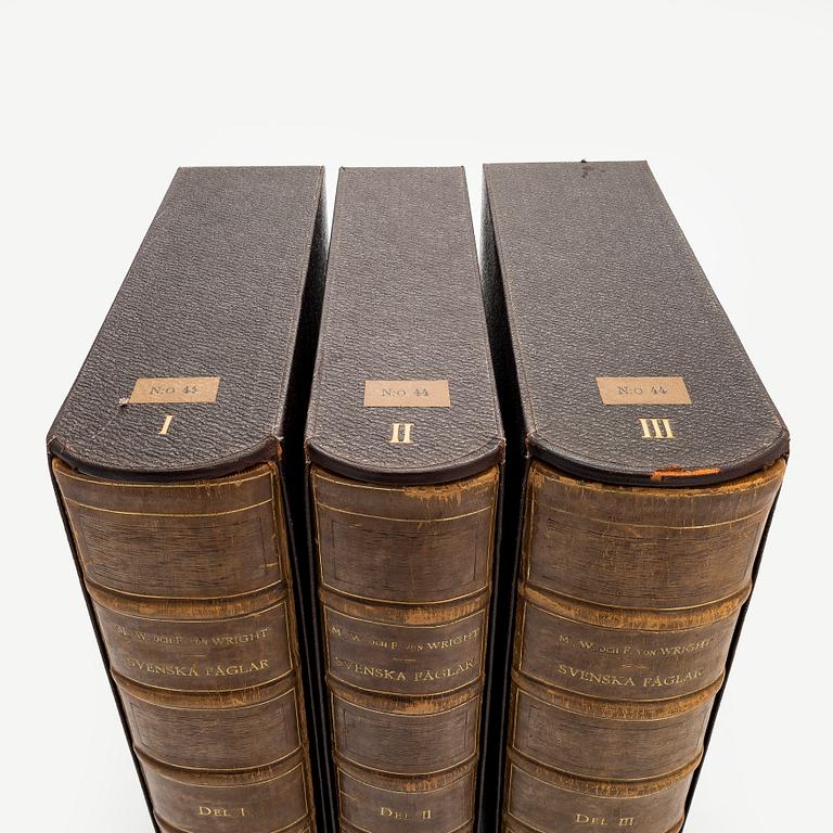 Bibliofilupplagan 3 volymer av von Wright: Svenska fåglar.