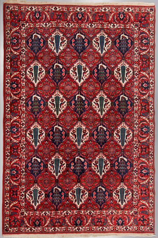 MATTA, Bakhtiari, semiantik, 310x210 cm.
