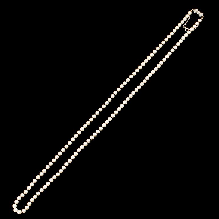 PÄRLCOLLIER, odlade pärlor med silverlås.