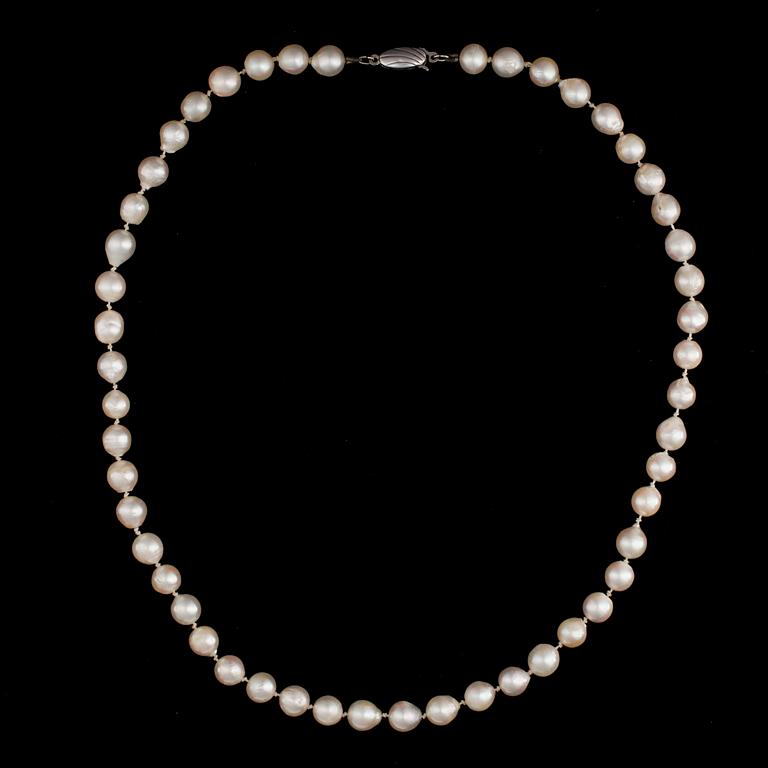 PÄRLCOLLIER med silverlås, 2 par ÖRHÄNGEN med guldlås. 1900-talets senare hälft.